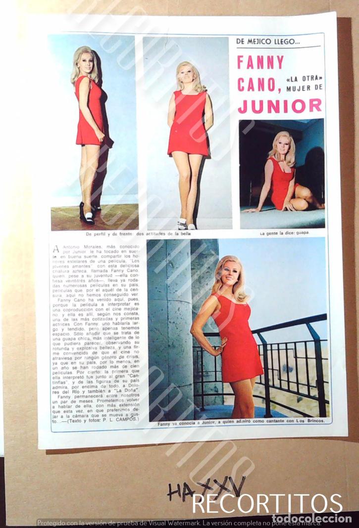 Cine: FANNY CANO JUNIOR POSTER - Foto 1