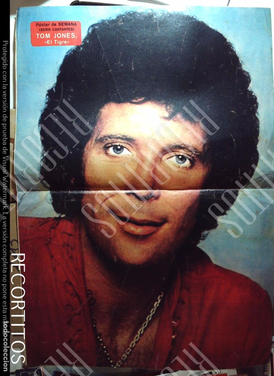 Cine: poster tom jones semana renfe - Foto 1