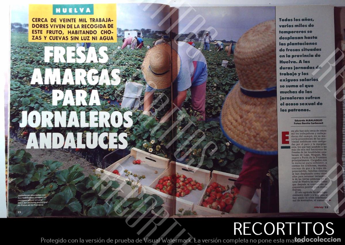 Cinema: HUELVA LOS JORNALEROS DE LAS FRESAS AMARGAS FRESAS