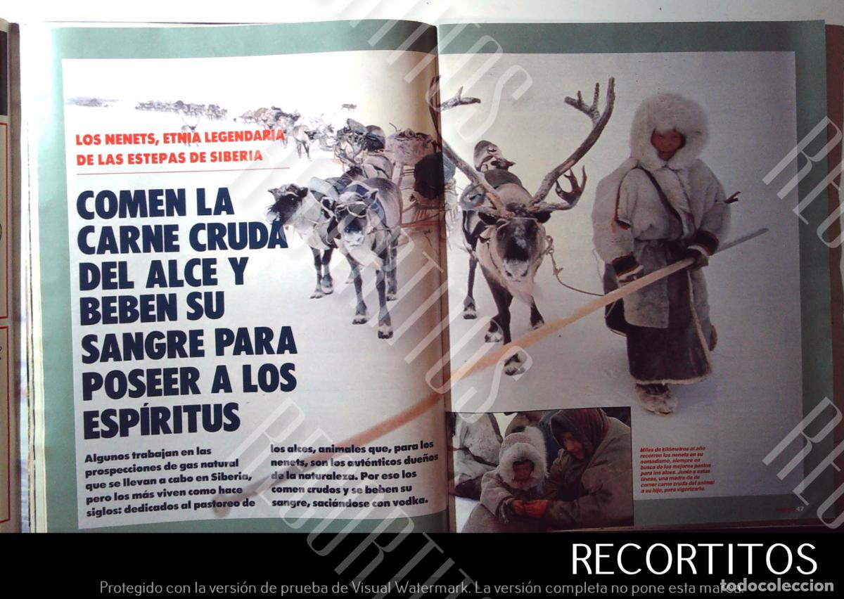 Cinema: LOS NENETS ETNIA LEGENDARIA DE LAS ESTEPAS DEL TIBET