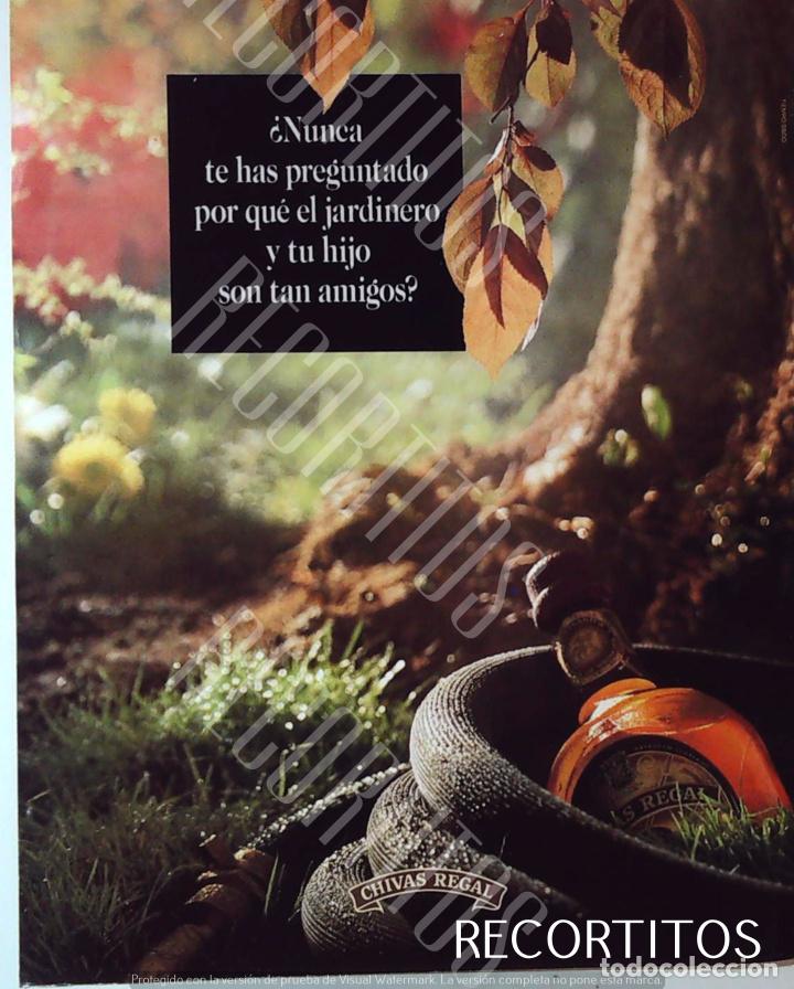 Cine: chivas REGAL whisky anuncio publicidad