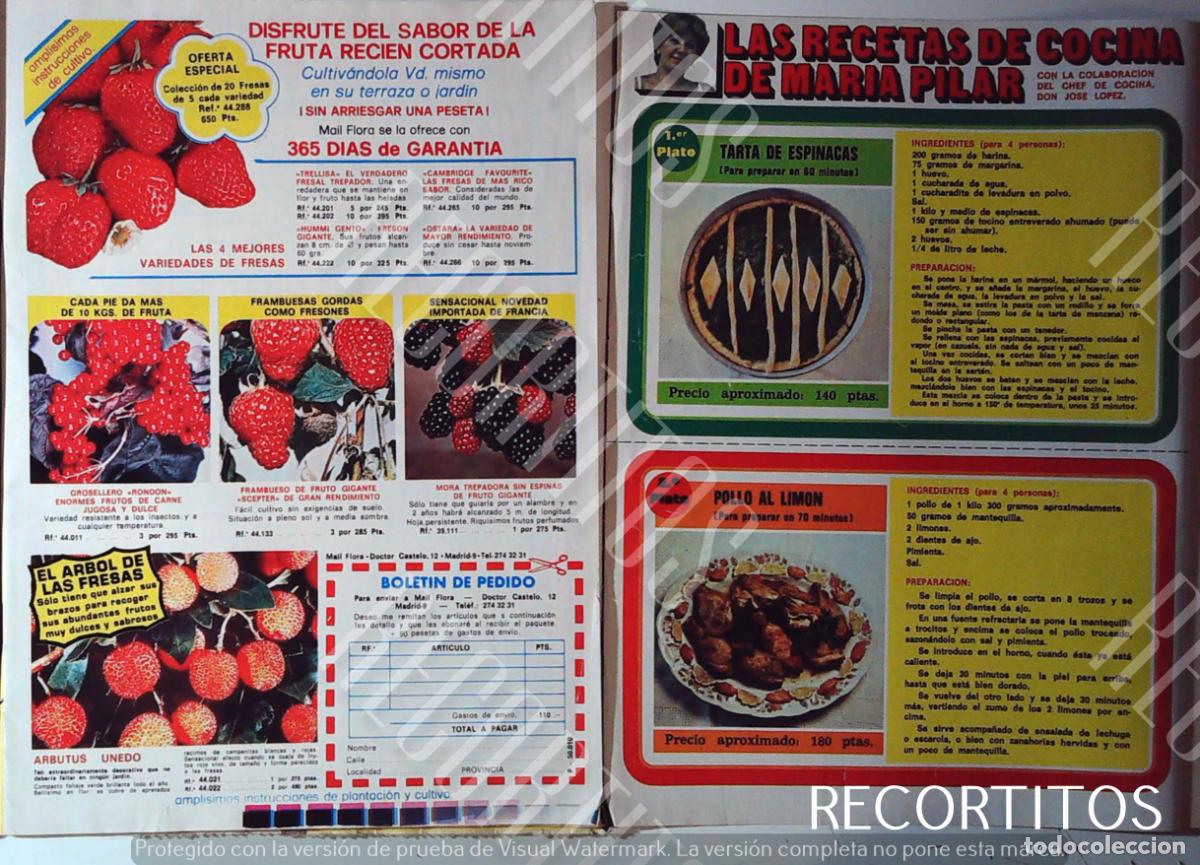 Cinema: LAS RECETAS DE COCINA DE MARIA PILAR