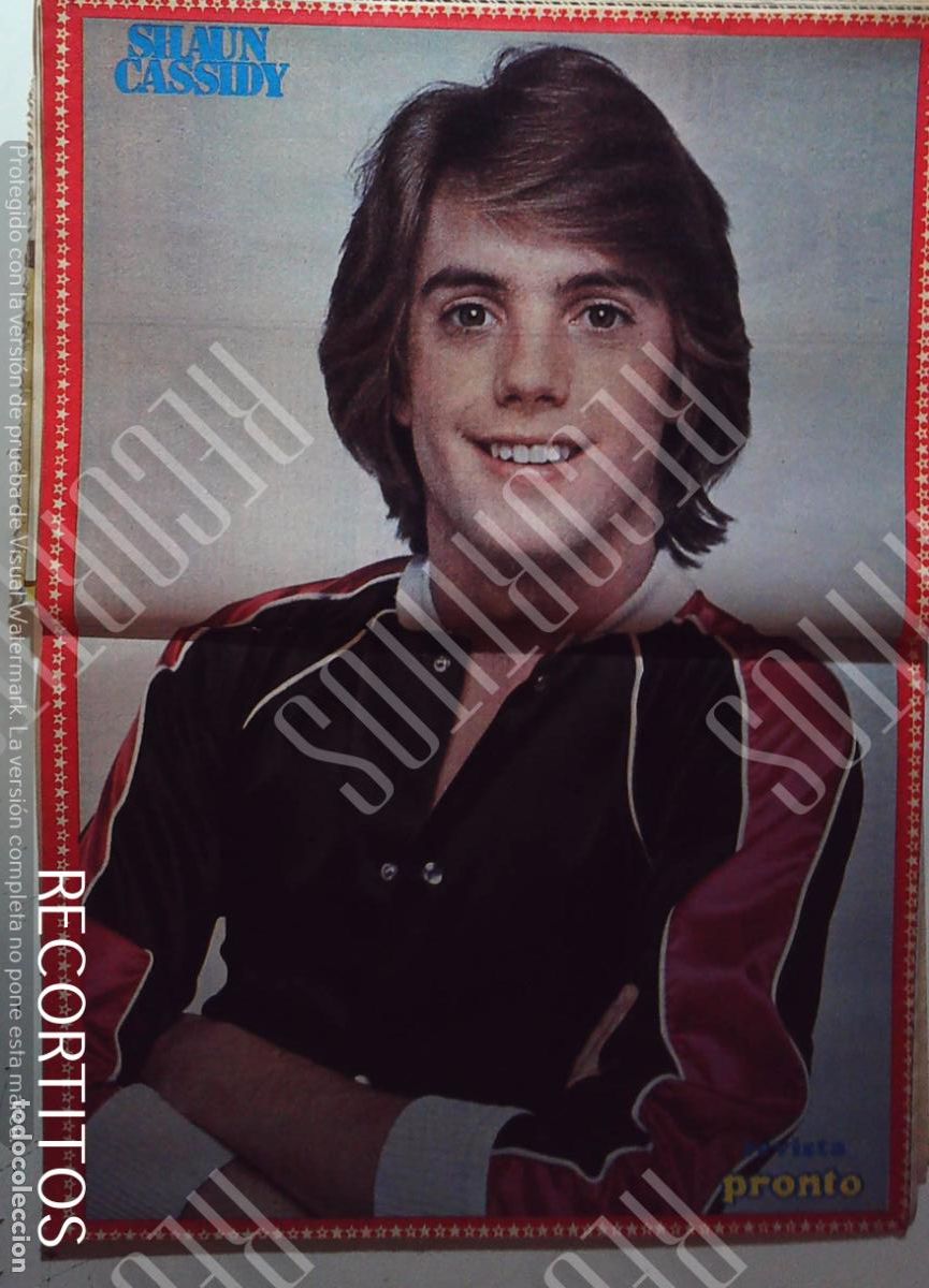 Cinema: SHAUN CASSIDY POSTER