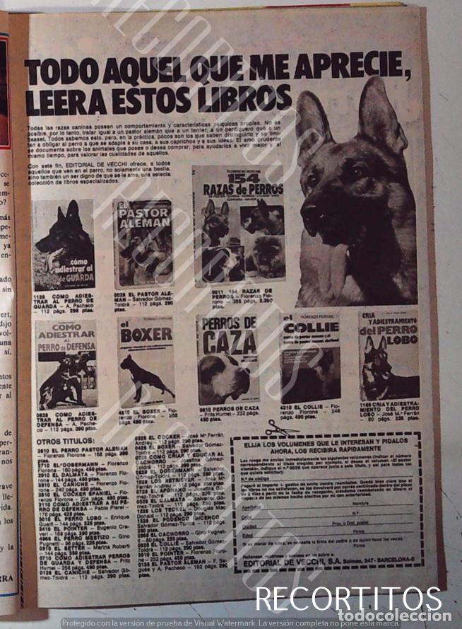 Cinema: EL PERRO ANIMAL DE CAZA