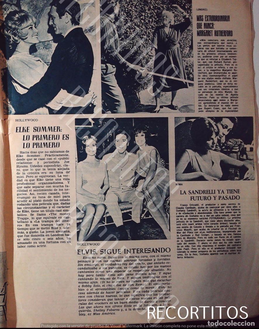 Cine: ELKE SOMMER MARGARET RUTHERFORD STEFANIA SANDRELLI ELVIS PRESLEY SHELLEY FABARES MARYANN MABLEY MISS