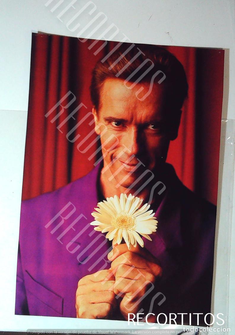 Cine: RECORTE MINI POSTER ARNOLD SCHWARZENEGGER TERMINATOR - Foto 1