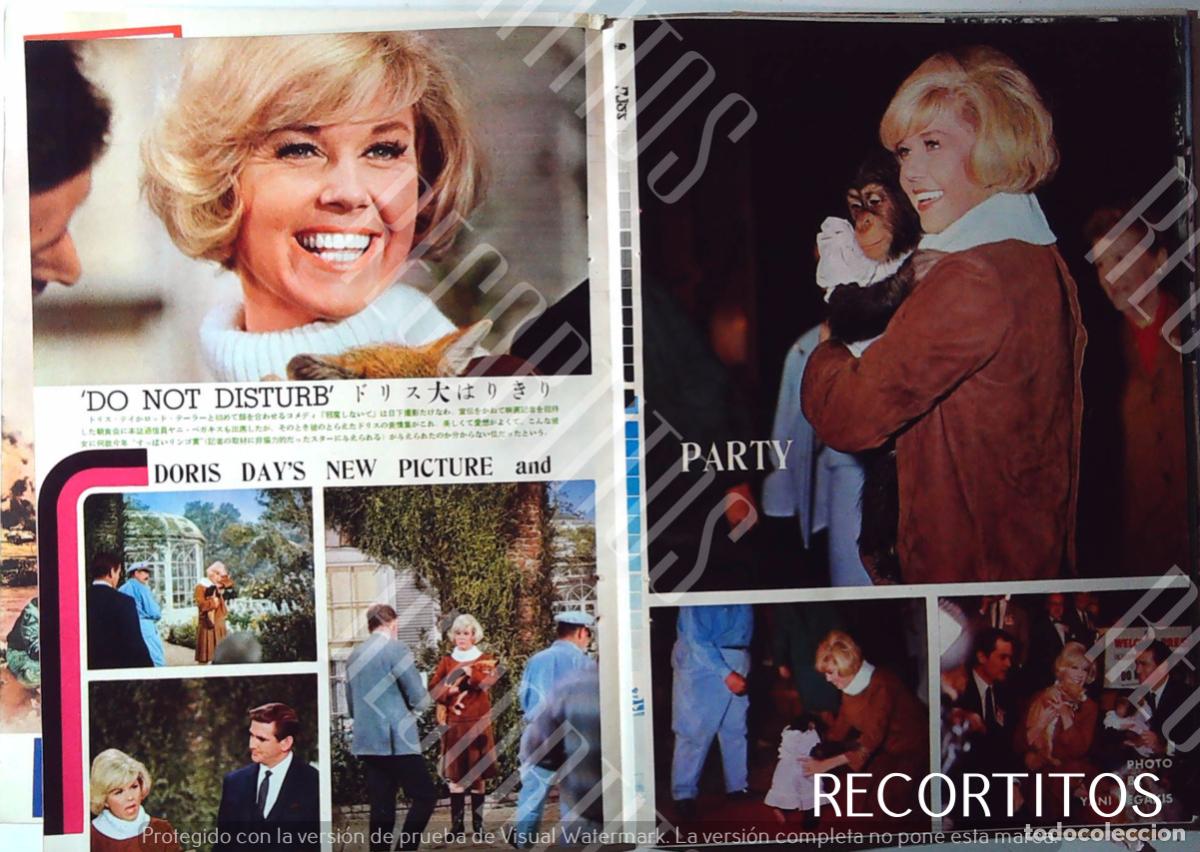 Cine: DO NOT DISTURB DORIS DAY CHIMPANCE LA MONA - Foto 1