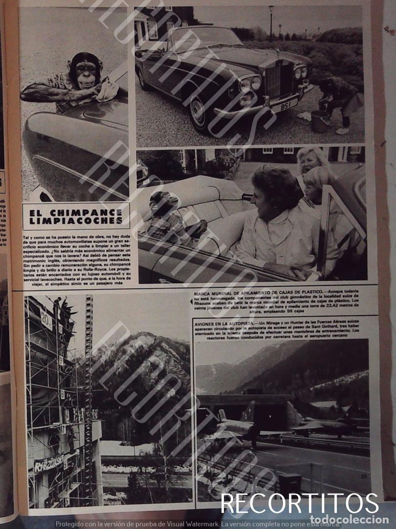 Cine: UN CHIMPANCE LIMPIA COCHES - Foto 1