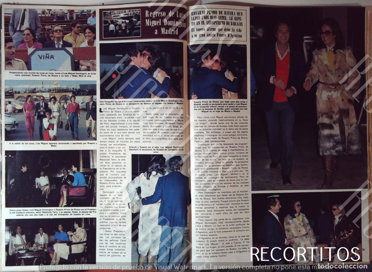 Cine: LUIS MIGUEL DOMINGUIN ROSARIO PRIMO DE RIVERA - Foto 1