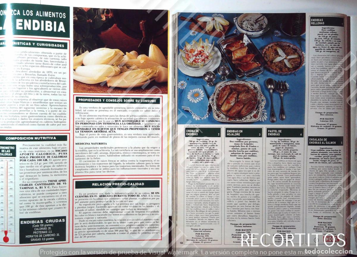 Cine: CONOZCA LOS ALIMENTOS LA ENDIBIA - Foto 1
