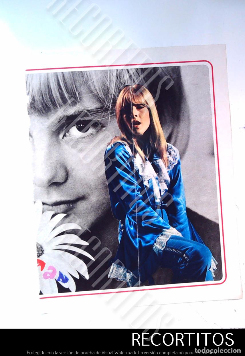 Cine: sylvie vartan johnny hallyday