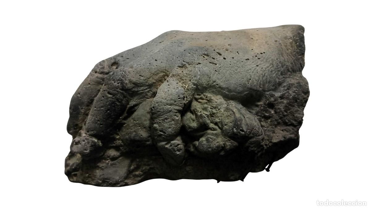 Kino: ESCULTURA DE MANO EN TERRACOTA O PIEDRA ARTIFICIAL (ESTILO VINTAGE / REPRODUCCI&Oacute;N)