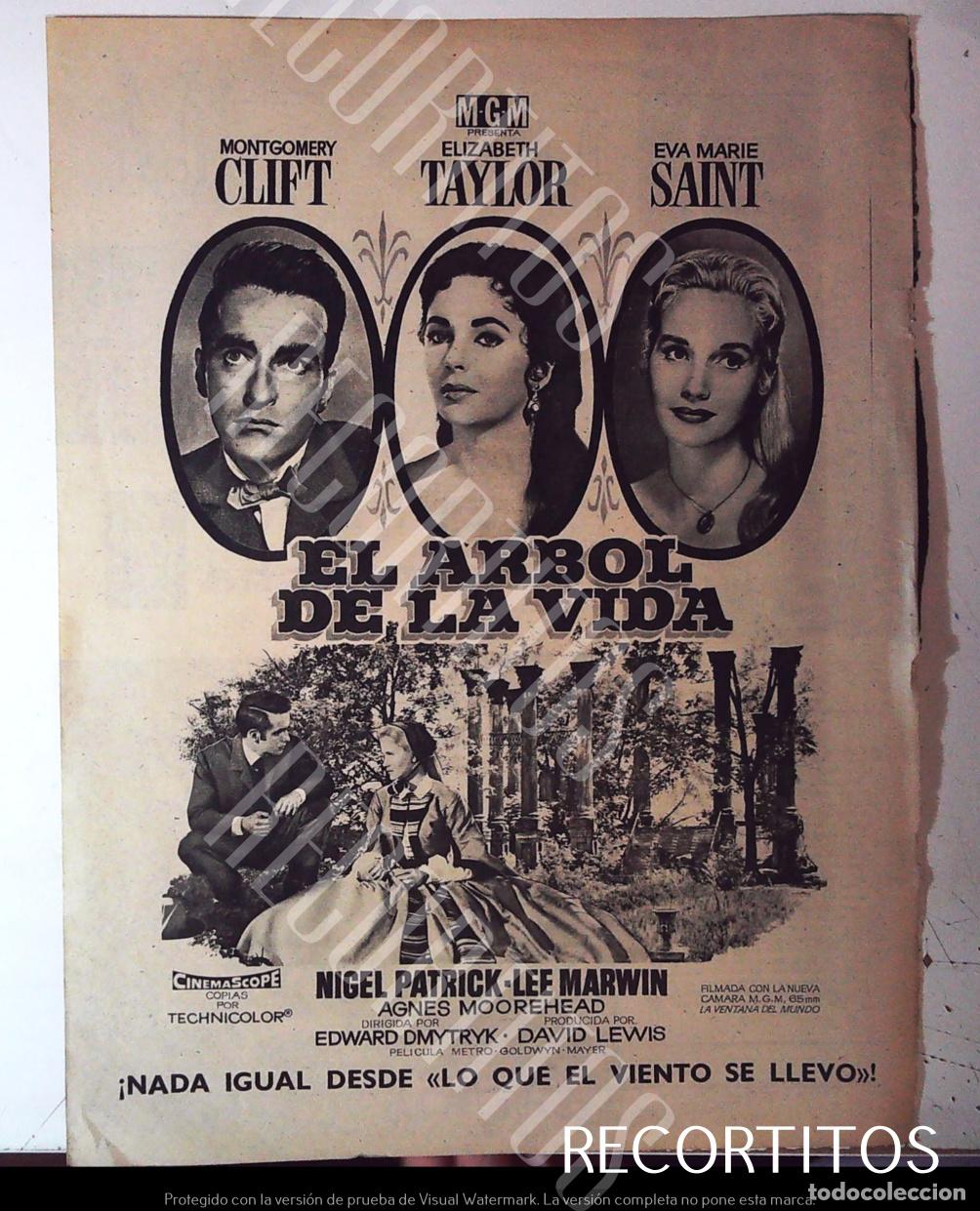 Cine: EL ARBOL DE LA VIDA ELIZABETH TAYLOR LIZ MONTGOMERY CLIFT EVA MARIE SAINT