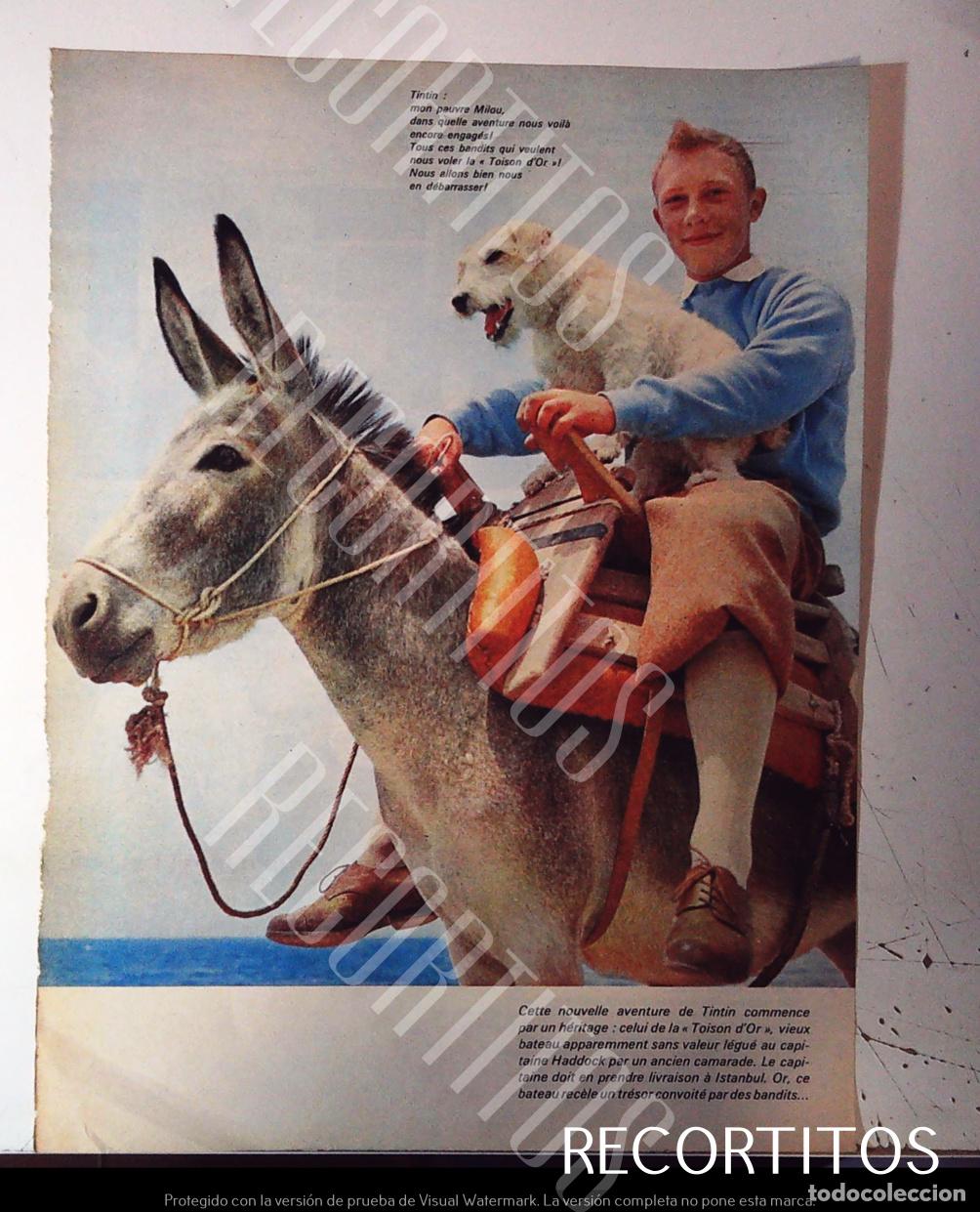 Cine: TIN TIN TINTIN Y MILU LA PELICULA