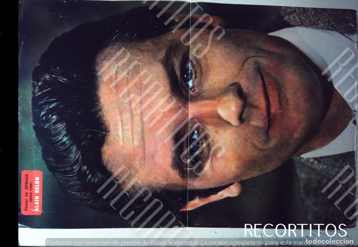 Cinema: POSTER ALAIN DELON TIENE DESGASTES EN LAS ESQUINAS VER FOTOS