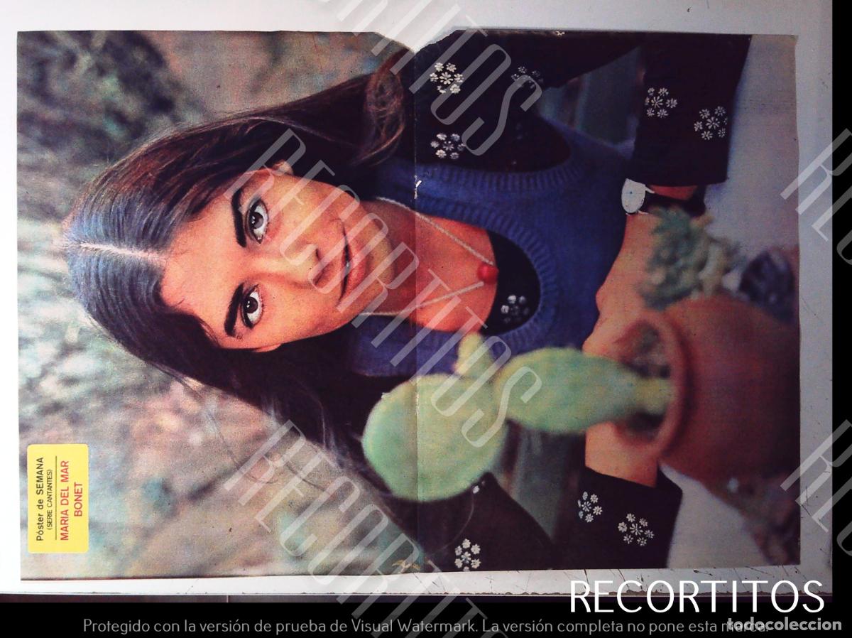 Cine: POSTER ROTO MARIA DEL MAR BONET KING KONG JESSICA LANGE JESICA