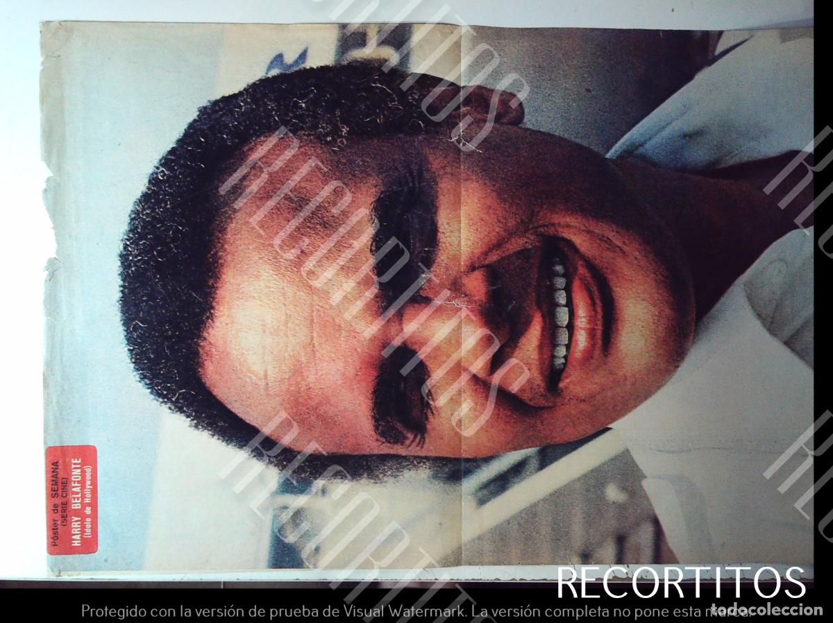 Cin&eacute;ma: POSTER HARRY BELAFONTE