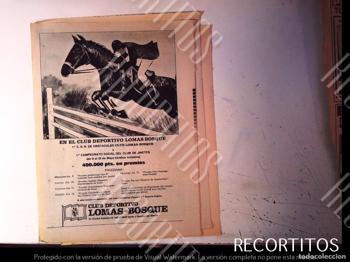 Cine: CLUB DEPORTIVO LOMAS BOSQUE HIPICA