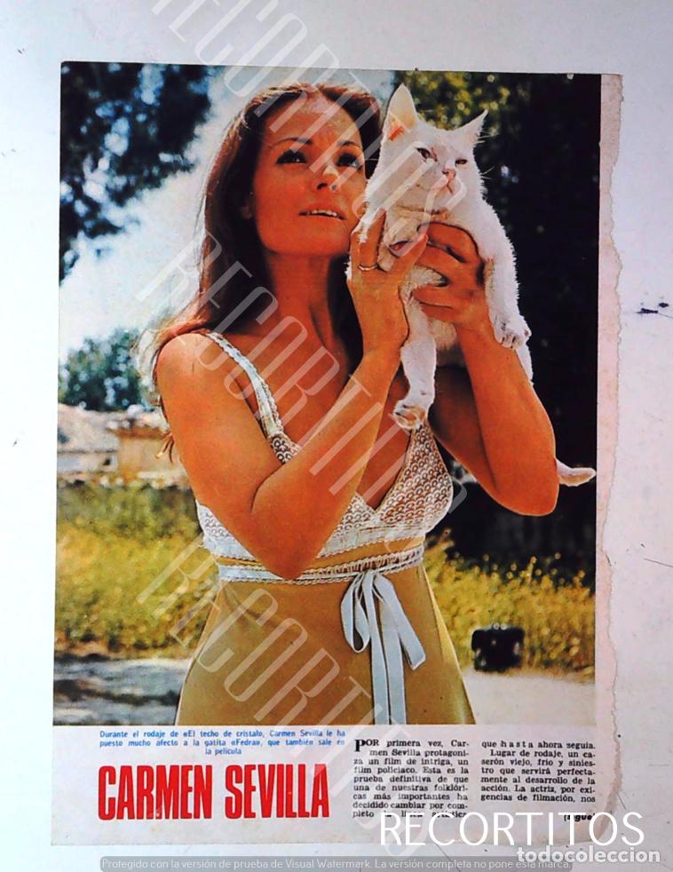 Cine: carmen sevilla pelicula policiaca