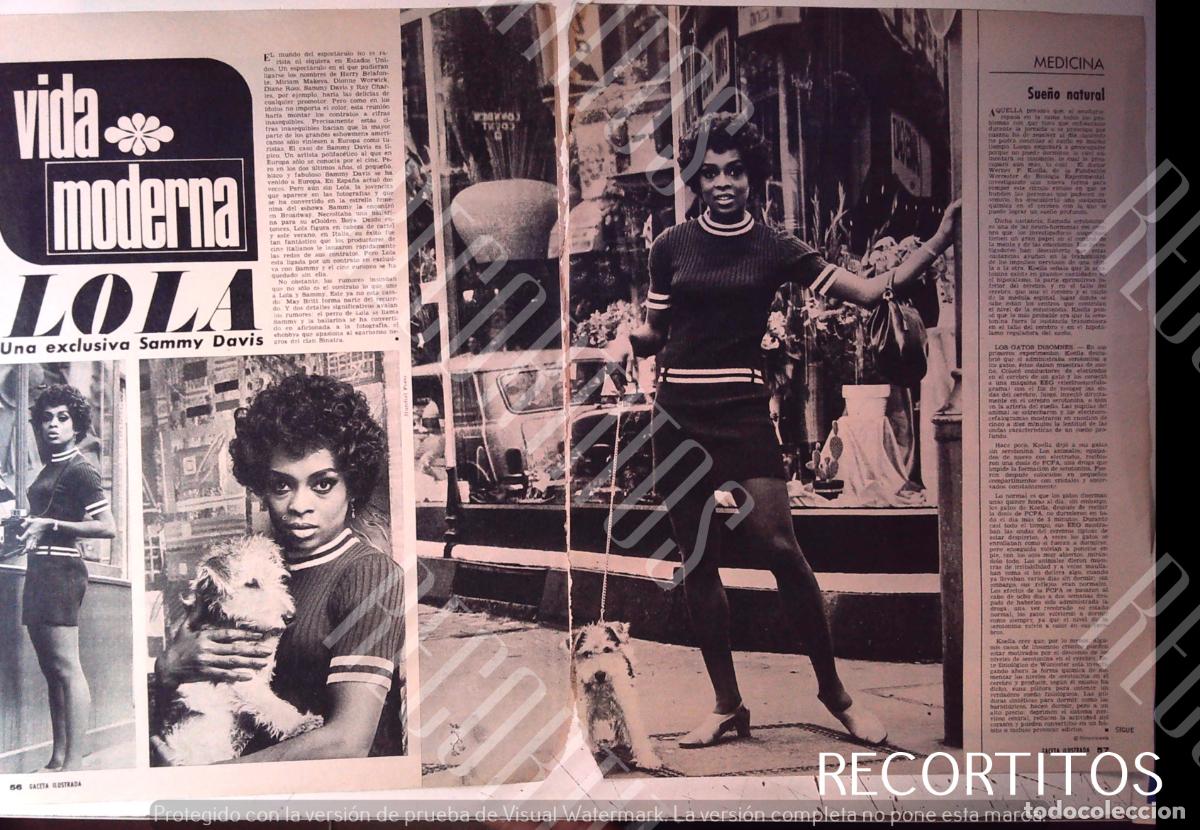 Cine: LOLA FALANA LOLA FALANA