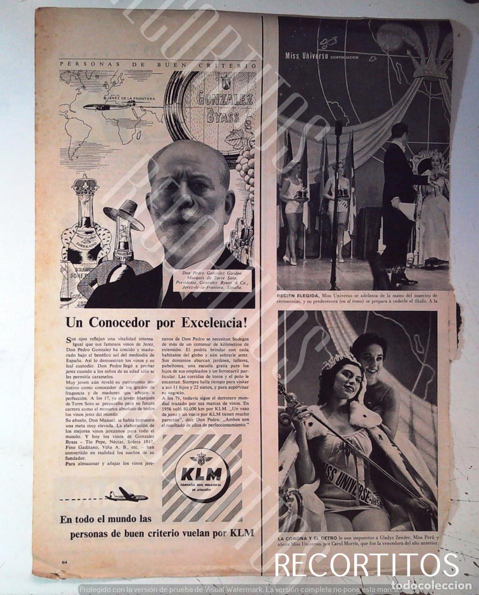 Cine: MISS USA EEUU KLM AIRLINES