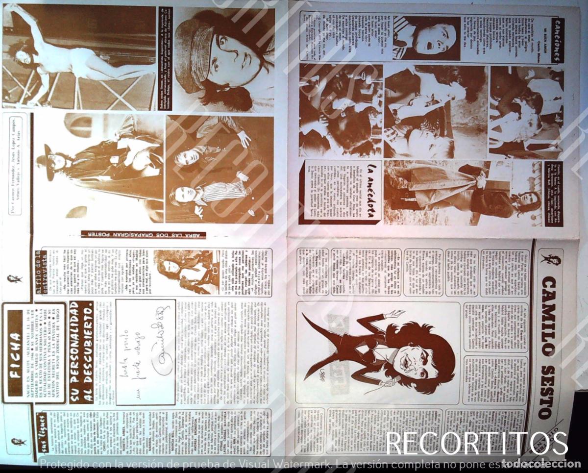 Cine: MEGA POSTER CAMILO SESTO - Foto 2
