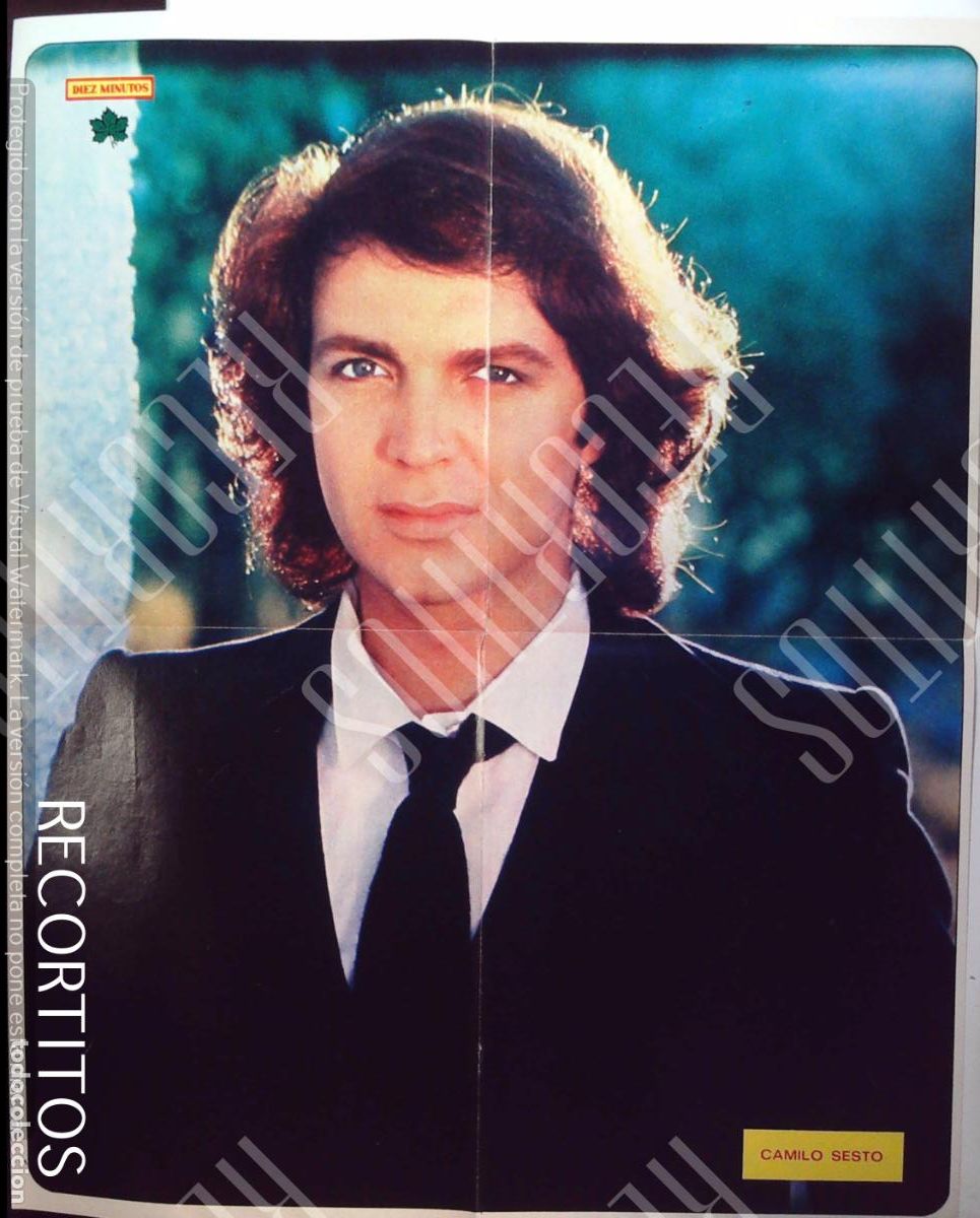 Cine: MEGA POSTER CAMILO SESTO