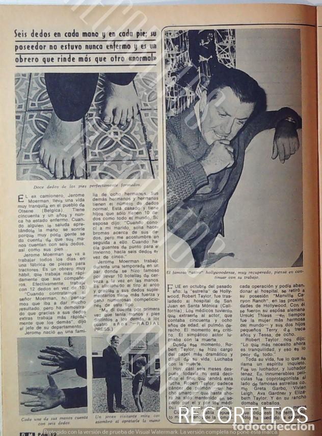 Cine: roBERT TAYLOR EN ESPA&Ntilde;A URSULA THIES - Foto 2