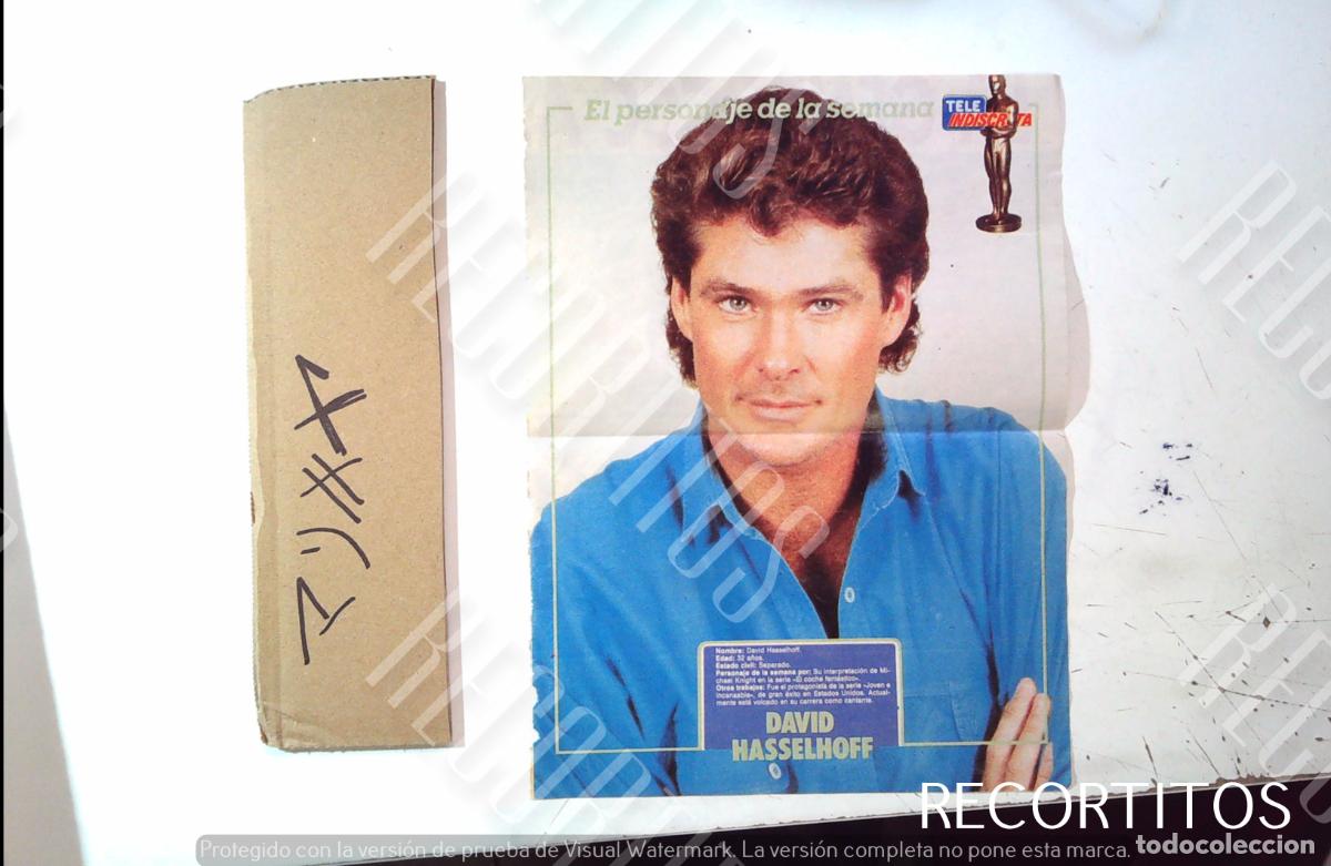Cine: david hasselhoff EL COCHE FANTASTICO tele indiscreta
