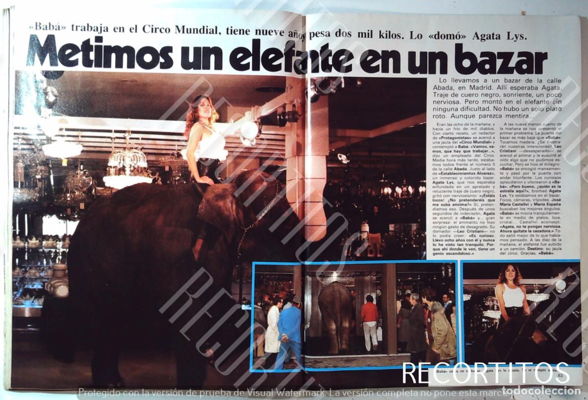 Cine: BABA EL ELEFANTE DEL CIRCO MUNDIAL AGATA LYS AGATHA
