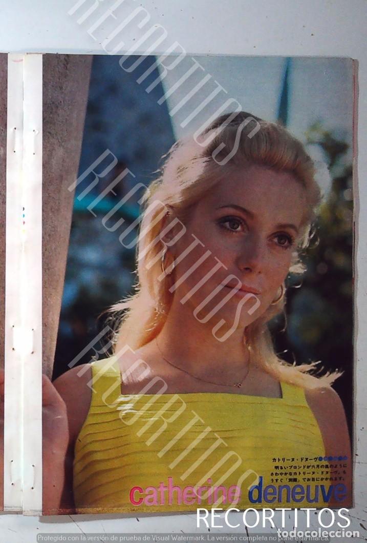 Cine: PIN UP CATHERINE DENEUVE
