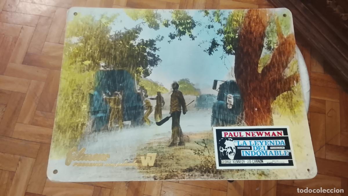 Cine: AFICHE EN CARTON DE LA PELICULA LA LEYENDA DEL INDOMABLE. PAUL NEWMAN. 39 X 29CM
