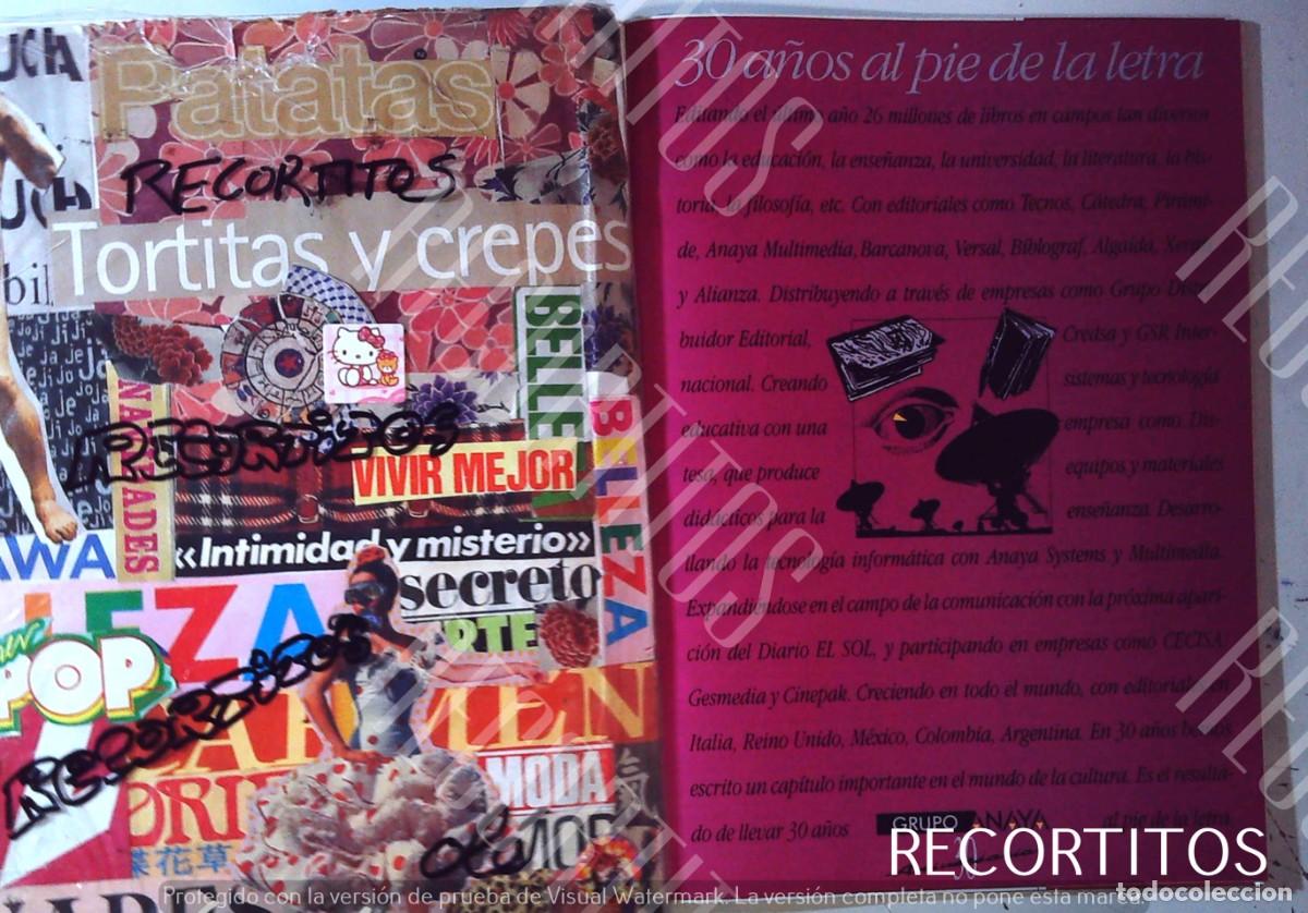 Cine: ANAYA GRUPO DE EDITORES LIBROS DIDACTICOS