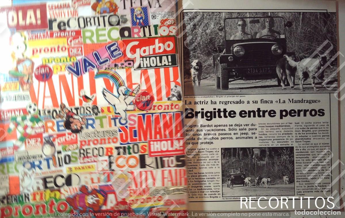 Cine: bb brigitte bardot BB LOS PERROS