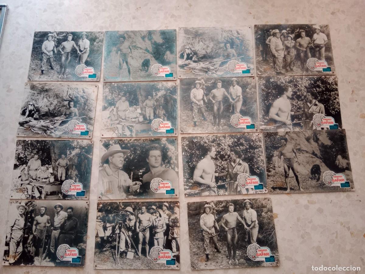 Cine: 15 FOTOGRAMAS CARTELERA CINE SOBRE CARTON TAMBORES DE SAFARI JOHNNY SHEFFIELD DOUGLAS KENNEDY - ORIG