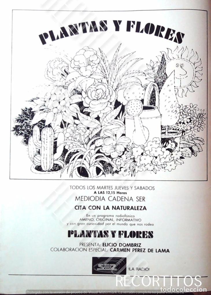 Cine: PLANTAS Y FLORES CADENA SER ANUNCIO