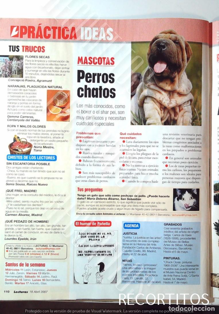 Cine: MASCOTAS LOS PERROS CHATOS SHAR PEI BOXER