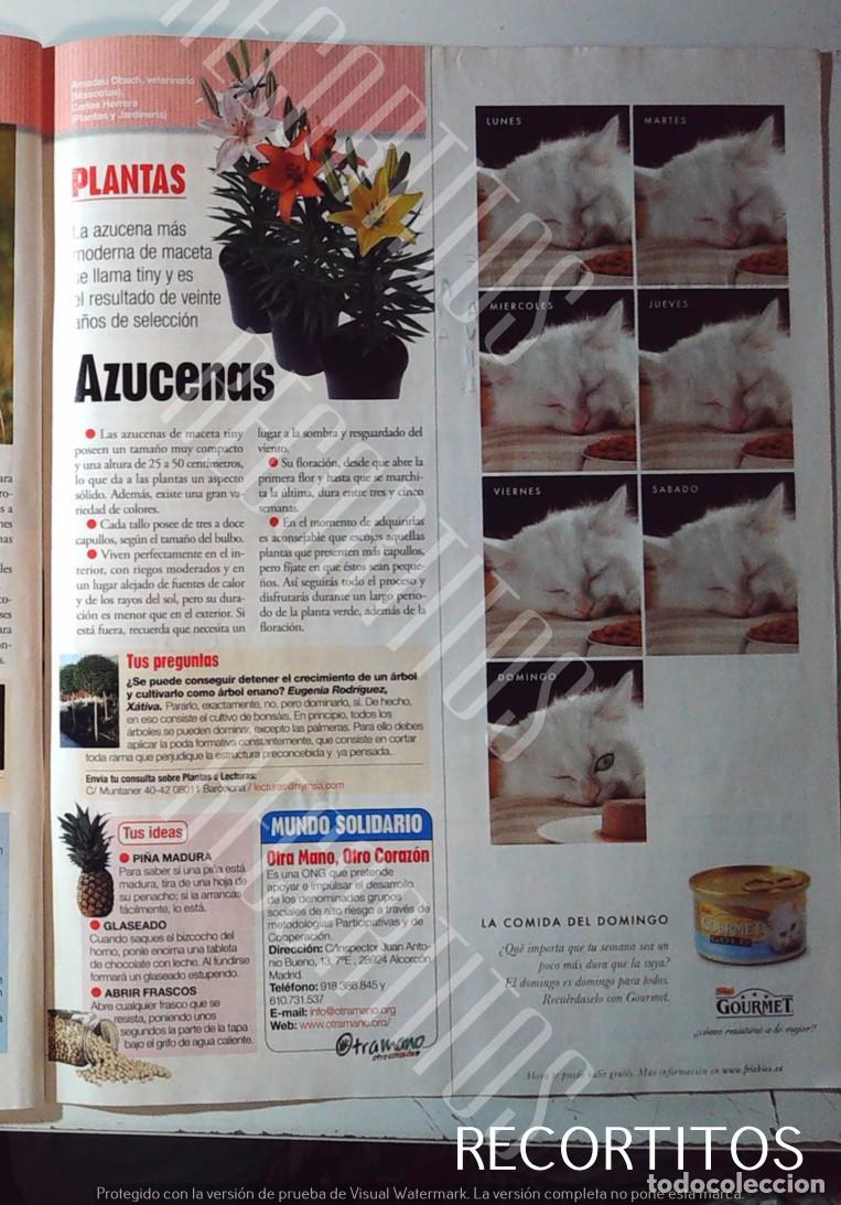 Cine: FRISKIES GOURMET LA AZUCENA