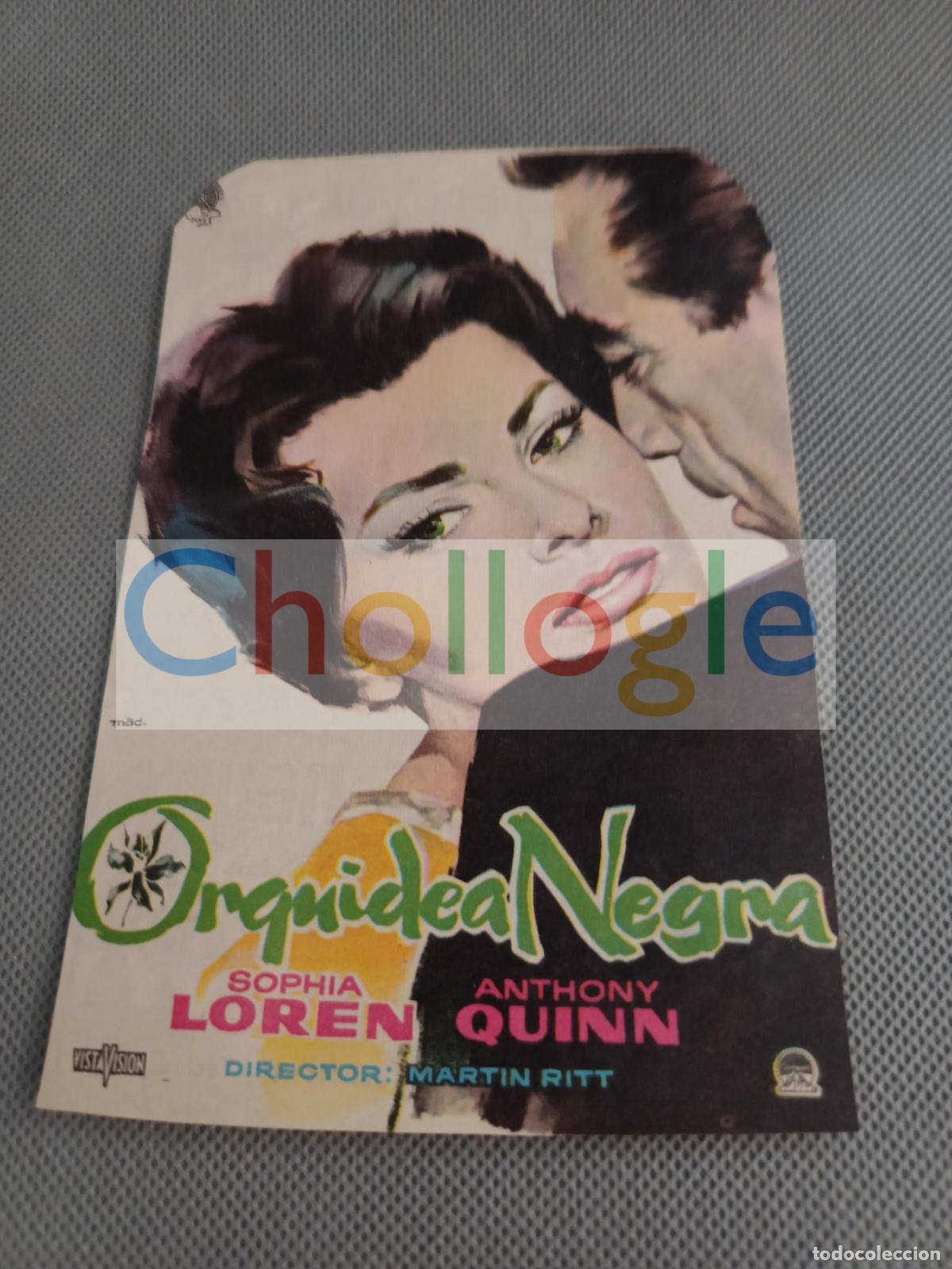 Cine: Programa de cine Orquidea Negra Amor bajo Cero cine Bohemio y Galileo