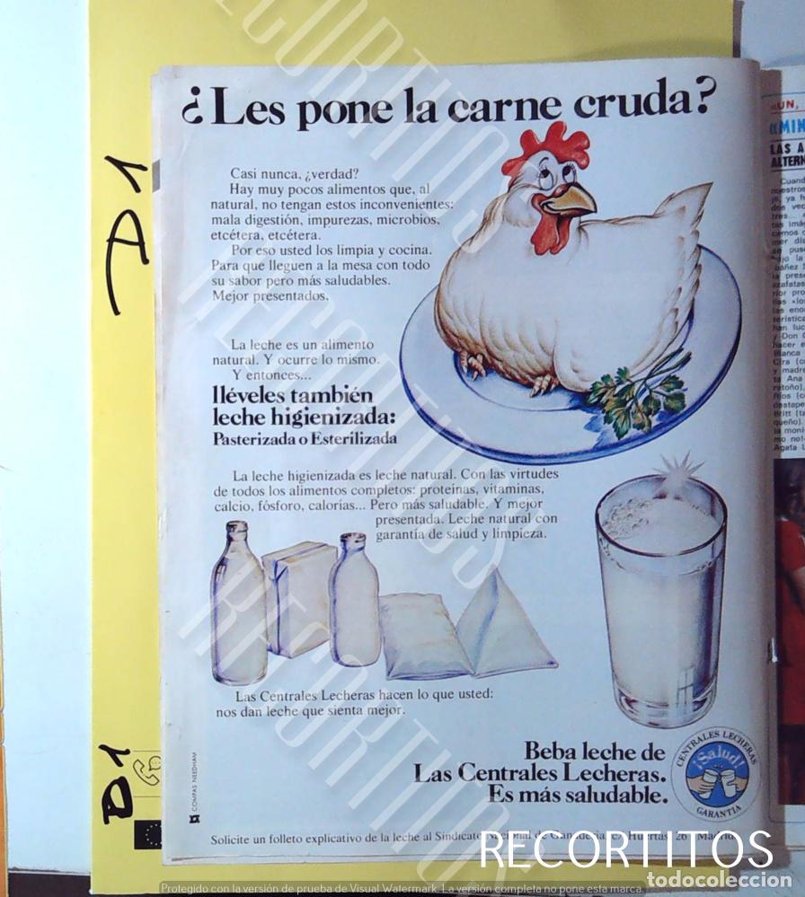 Cine: LECHE HIGIENIZADA CENTRALES LECHERAS