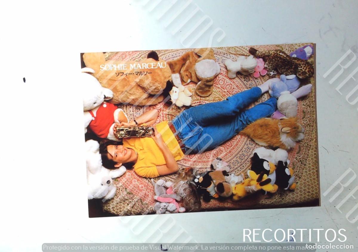 Cine: SHITAJIKI PENCIL BOARD 1983 SOPHIE MARCEAU CALENDARIO
