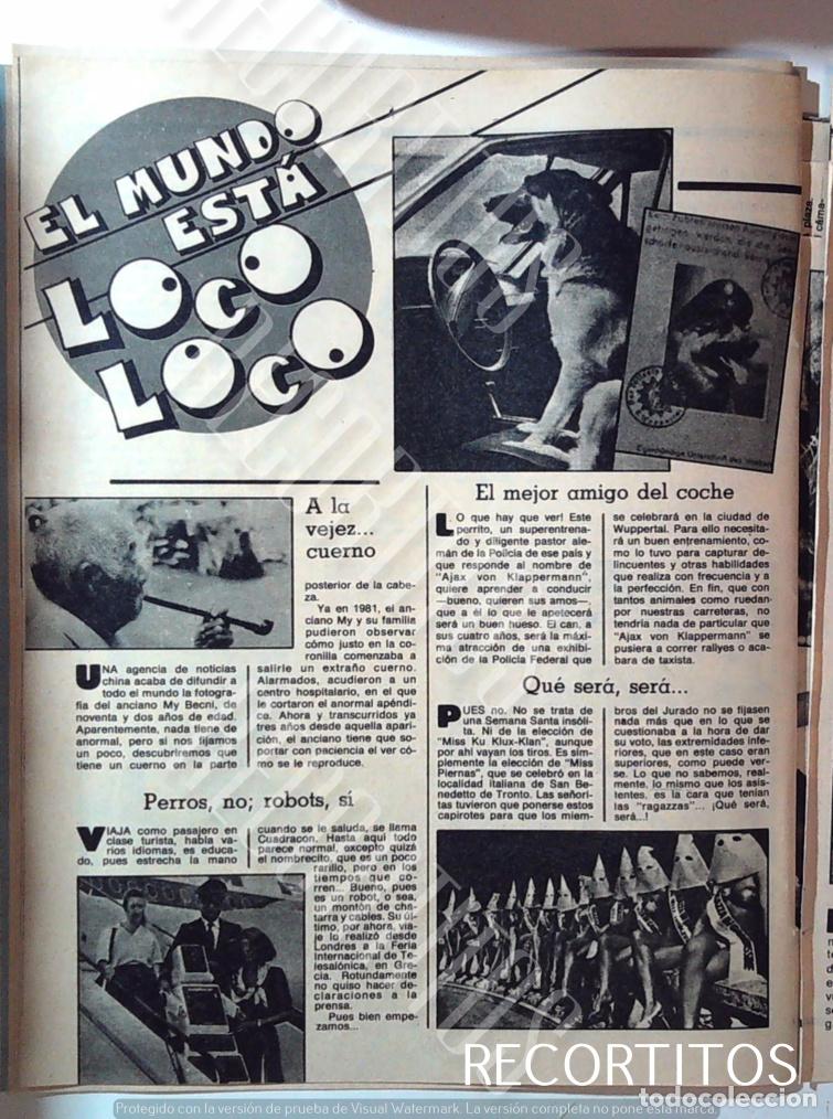 Cine: perro conductor miss klux klan