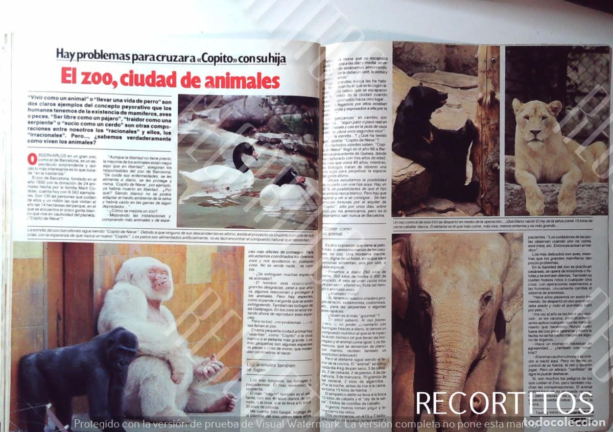 Cine: EL ZOO DE BARCELONA COPITO DE NIEVE