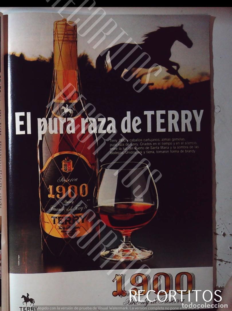 Cine: 1900 BRANDY ANUNCIO PUBLICIDAD TERRY