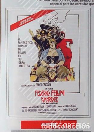 Cine: AMARCORD FEDERICO FELLINI