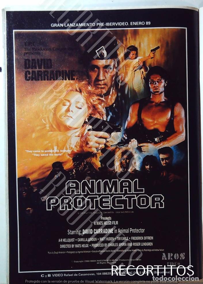 Cine: ANIMAL PROTECTOR DAVID CARRADINE