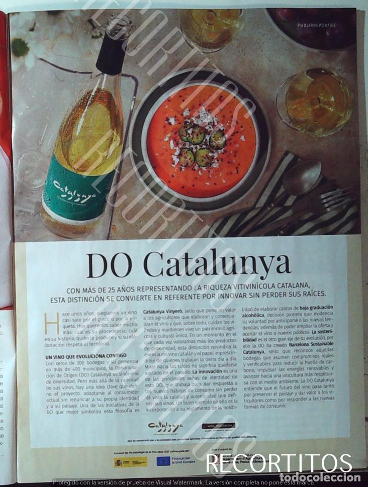 Cine: do catalunya el aceite catalan