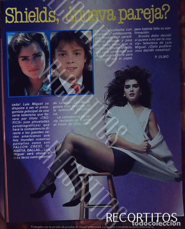 Cine: luis miguel brooke shields incompleto