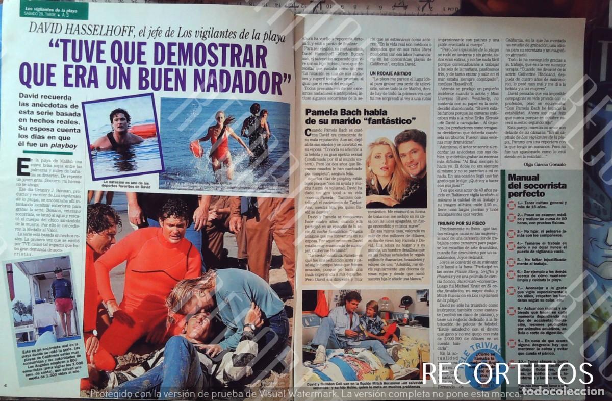 Cine: los vigilantes de la playa david hasselhoff shannen doherty sensacion de vivir 90210 bevely hill to