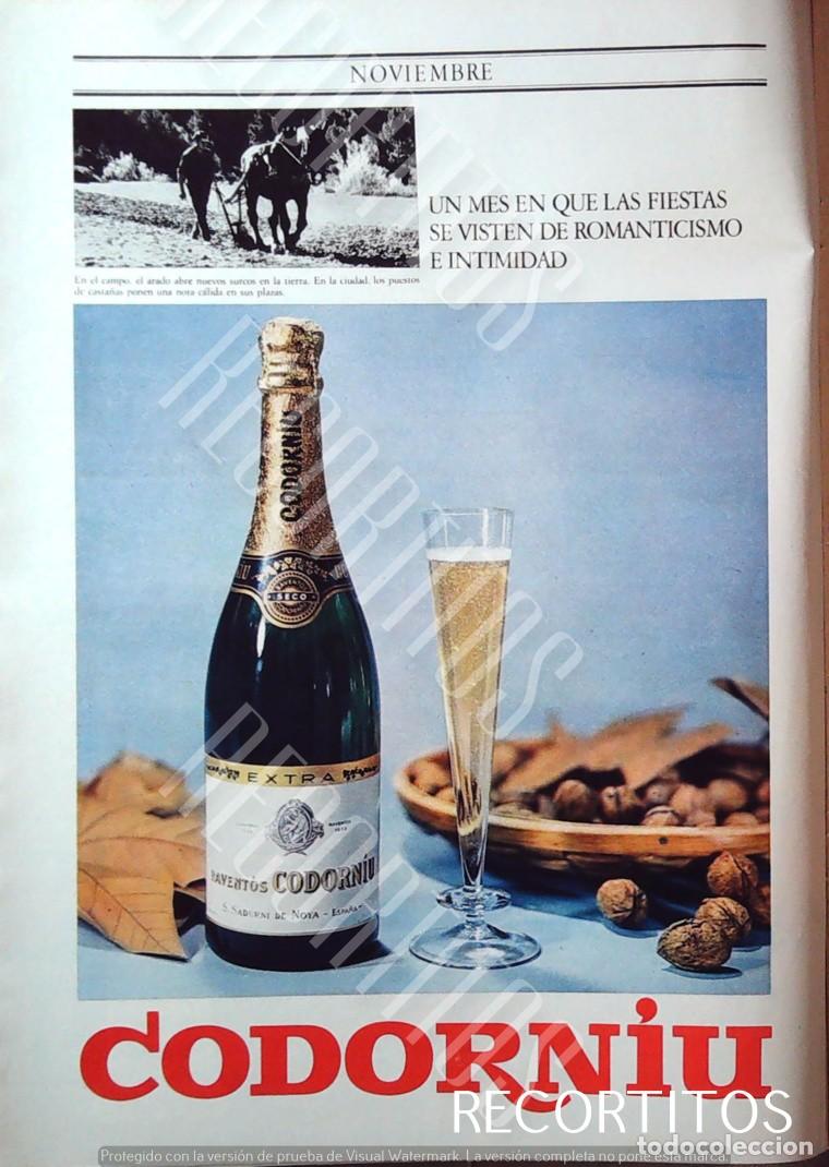 Cine: dermax codorniu anuncio publicidad